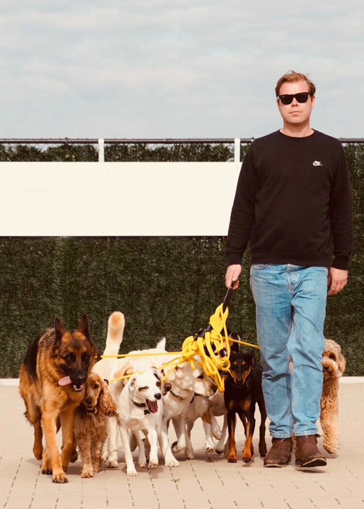 Hondengedragsdeskundige Derk Fangman met honden. Bekijk diensten.