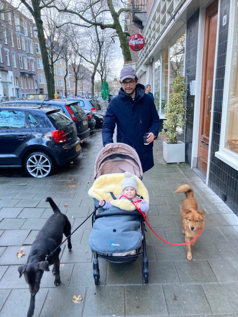 Recensies - Grenzen stellen hond